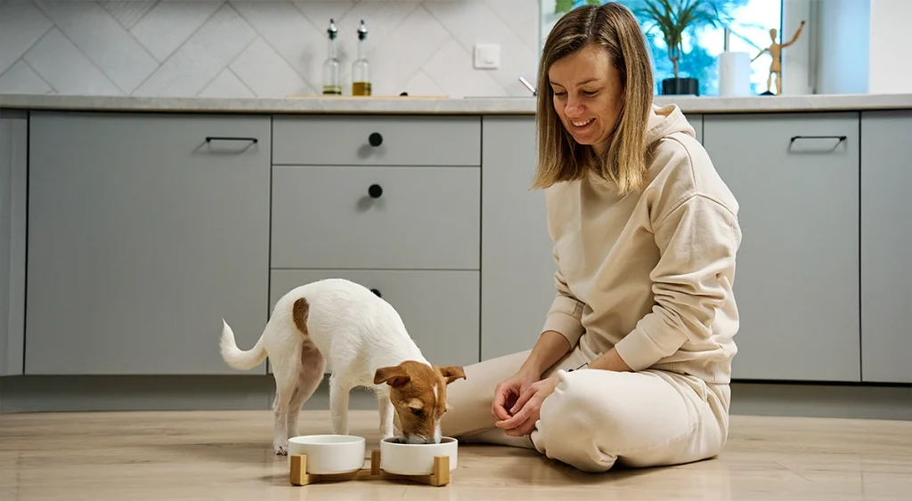 Carne de conejo para perros deshuesada